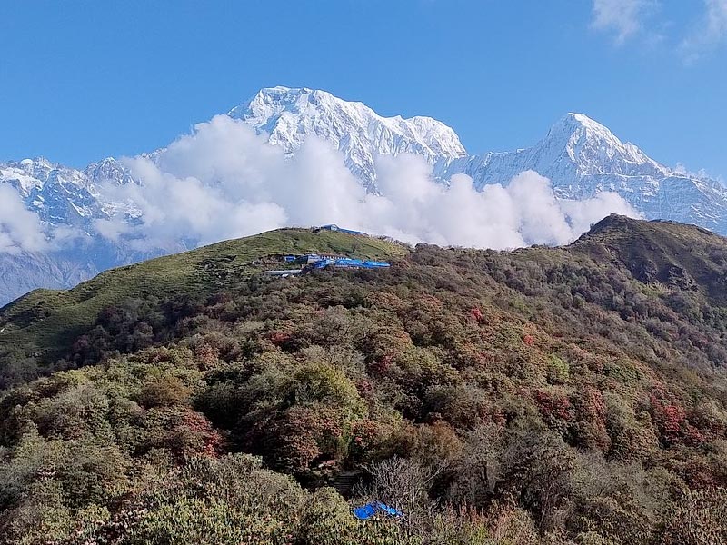 Mardi Himal Trekking